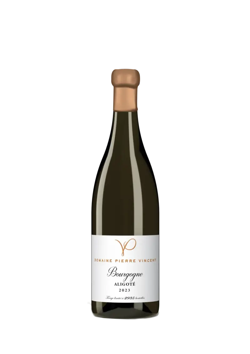 Bourgogne aligoté 2023  Pierre Vincent