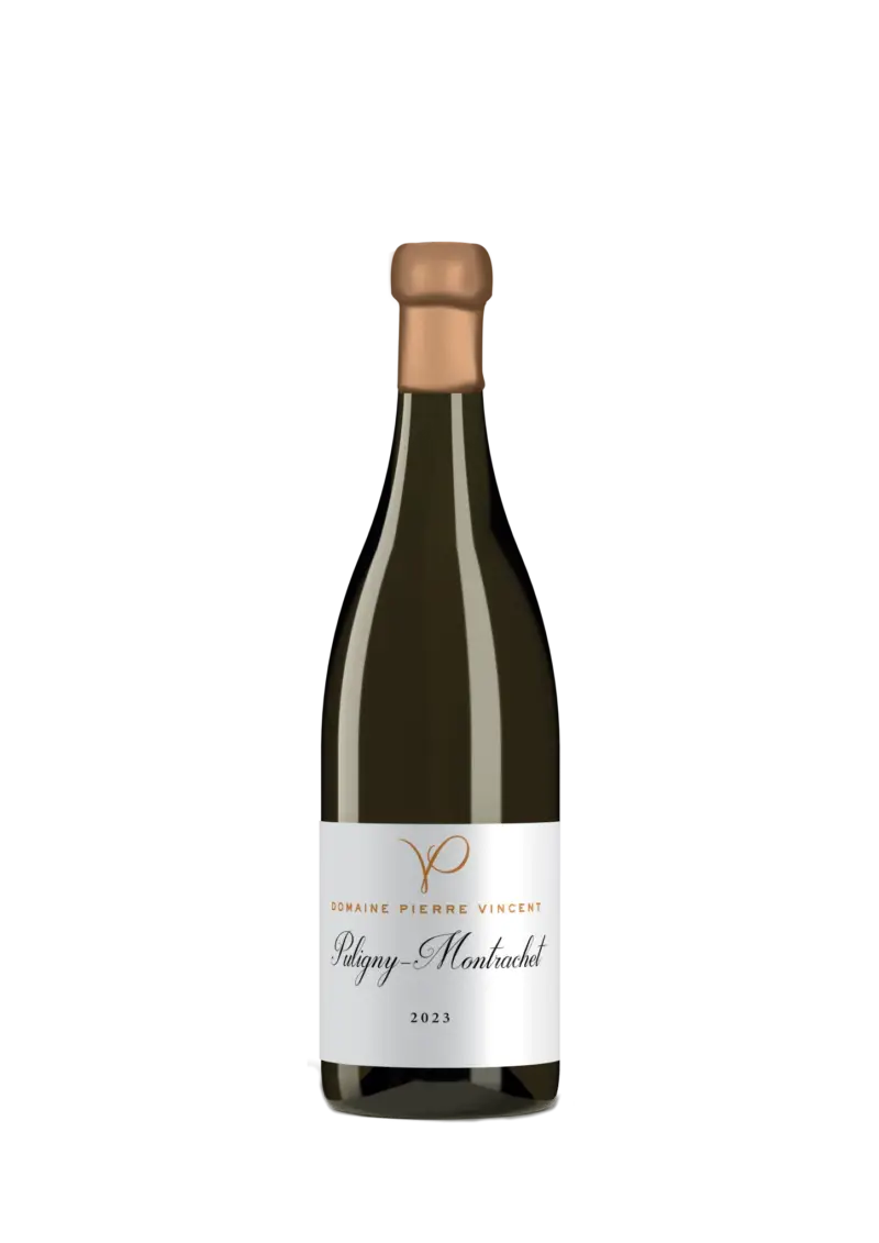 Puligny-Montrachet 2023  Pierre Vincent